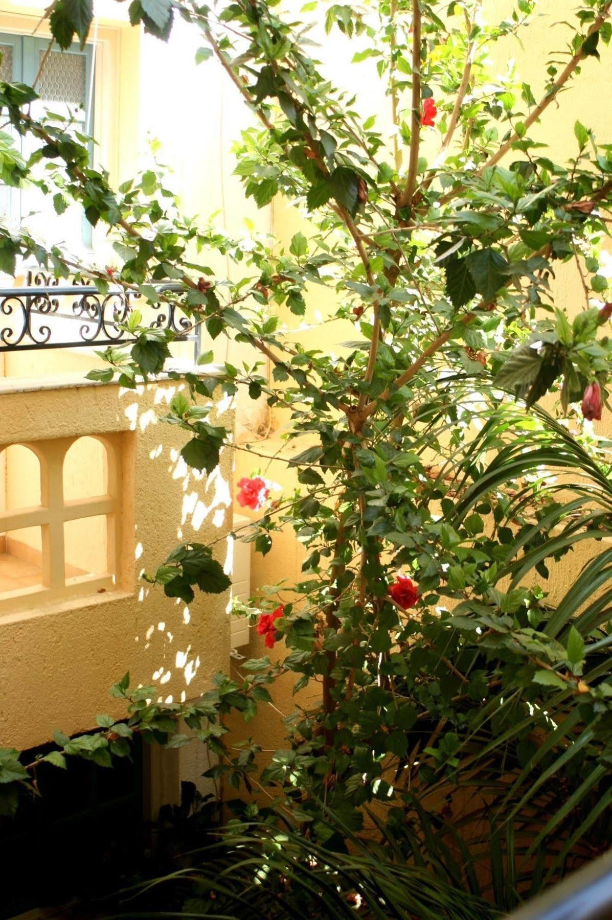 Orion Apartments Malia  Ngoại thất bức ảnh